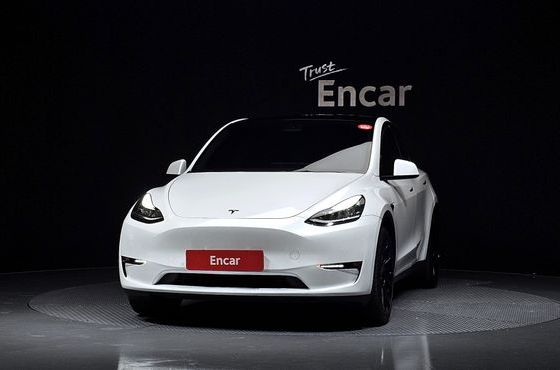 Tesla Model Y Long Range AWD — пробег 49 611 км — фото 3 из 5