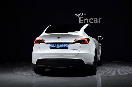 Tesla Model Y Long Range AWD — пробег 49 611 км — фото 4 из 5