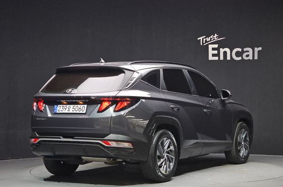 Hyundai Tucson Diesel 2.0 2WD Premium — пробег 95 376 км — фото 2 из 5