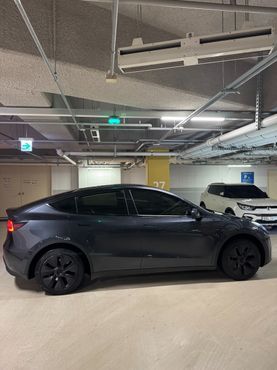 Tesla Model Y RWD — пробег 33 000 км — фото 3 из 5