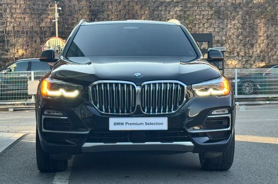 BMW X5 xDrive 40i xLine — пробег 86 049 км — фото 3 из 5