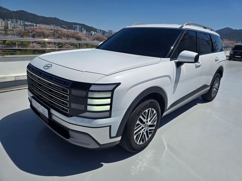 Hyundai Palisade Gasoline 2.5T 2WD 9-Seater Exclusive — пробег 17 700 км — фото 1 из 5