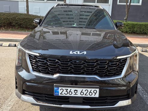 Kia Sorento HEV 1.6 2WD Noblesse — пробег 1 100 км — фото 1 из 5