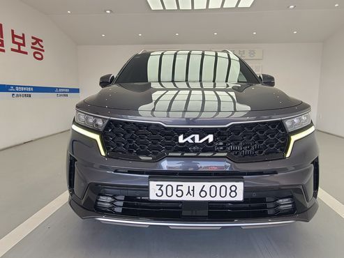 Kia Sorento HEV 1.6 2WD Noblesse — пробег 44 356 км — фото 2 из 5