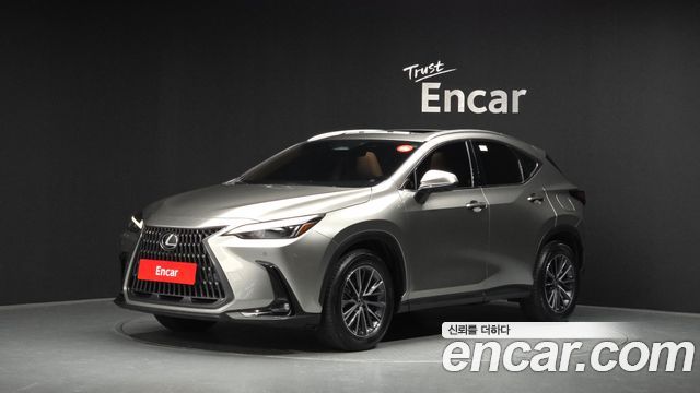 Lexus NX Premium — пробег 80 065 км — фото 1 из 5