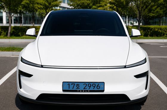 Tesla Model Y RWD — пробег 17 855 км — фото 1 из 5