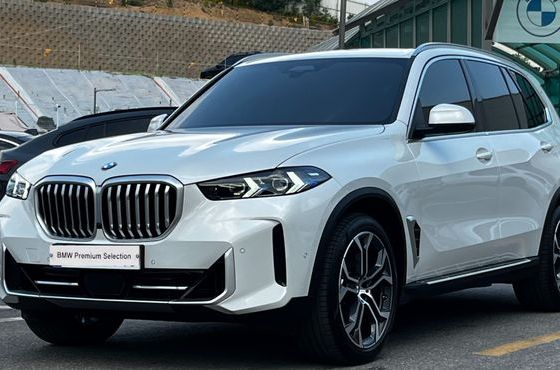 BMW X5 xDrive 40i xLine — пробег 4 141 км — фото 1 из 5