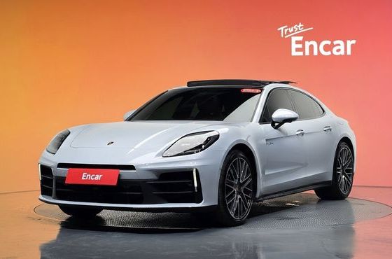 Porsche Panamera 2.9 AWD E-Hybrid — пробег 8 833 км — фото 1 из 5