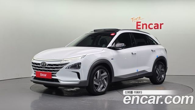 Hyundai Nexo Premium — пробег 49 759 км — фото 1 из 5