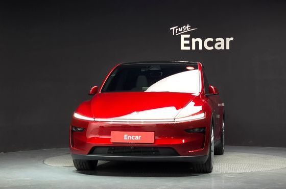 Tesla Model Y Long Range Launch Edition AWD — пробег 18 882 км — фото 3 из 5
