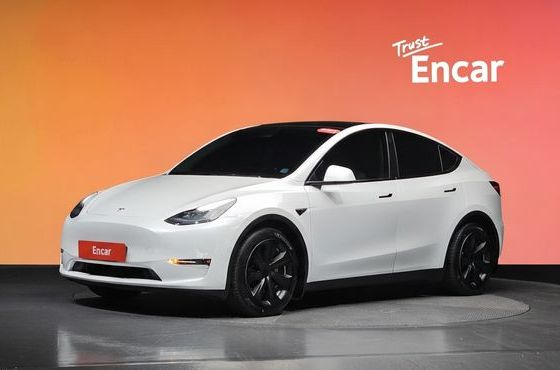 Tesla Model Y Long Range AWD — пробег 119 098 км — фото 1 из 5