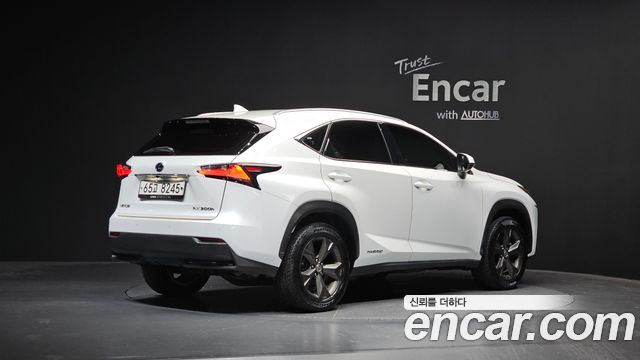 Lexus NX Executive — пробег 113 800 км — фото 2 из 5