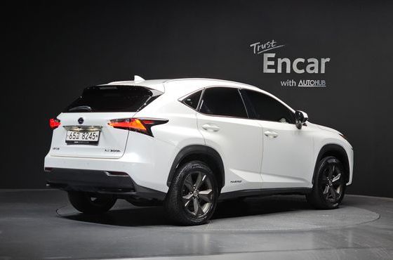 Lexus NX Executive — пробег 113 800 км — фото 2 из 5
