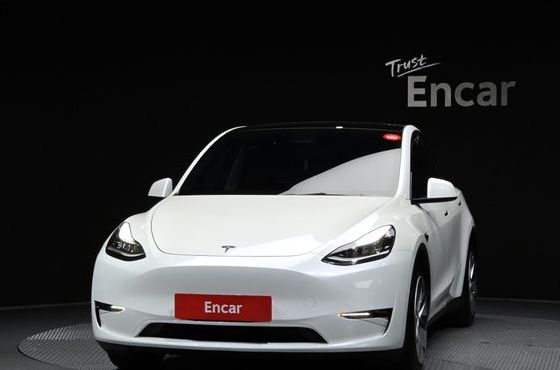 Tesla Model Y Long Range AWD — пробег 81 082 км — фото 3 из 5