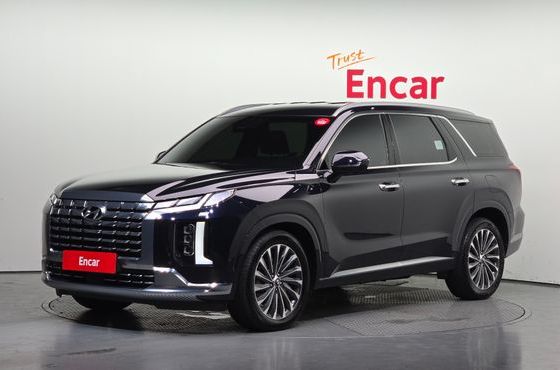 Hyundai Palisade Gasoline 3.8 4WD Calligraphy — пробег 48 125 км — фото 1 из 5