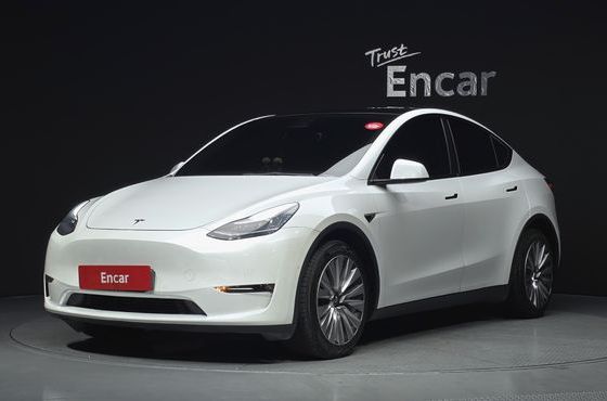 Tesla Model Y Long Range AWD — пробег 90 028 км — фото 1 из 5