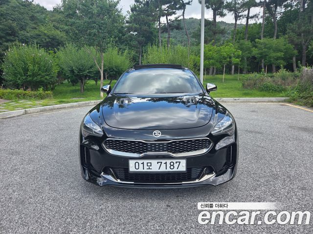 Kia Stinger 2.0 Turbo 2WD Platinum — пробег 131 164 км — фото 3 из 5