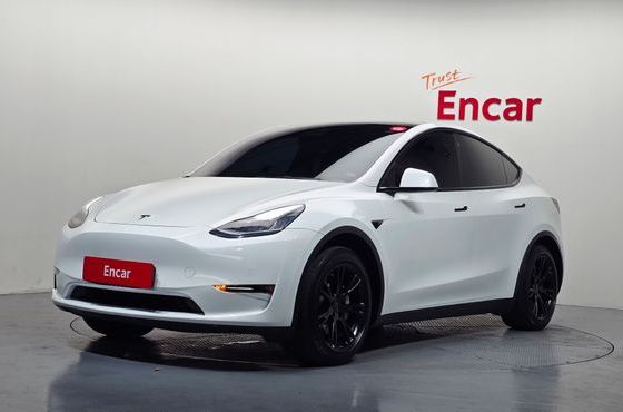 Tesla Model Y Standard Range RWD — пробег 80 335 км — фото 1 из 5