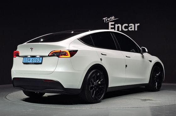 Tesla Model Y RWD — пробег 42 013 км — фото 2 из 5