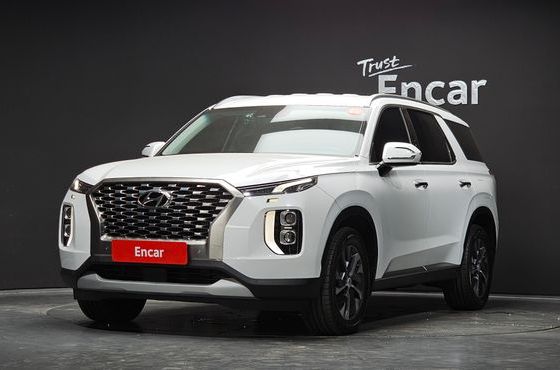 Hyundai Palisade Diesel 2.2 2WD Exclusive — пробег 62 590 км — фото 1 из 5