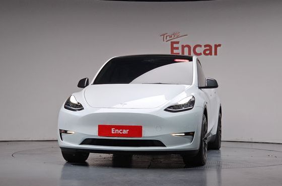 Tesla Model Y Long Range AWD — пробег 60 476 км — фото 3 из 5