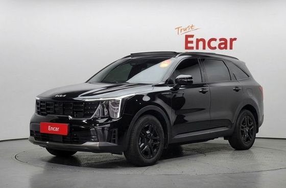 Kia Sorento HEV 1.6 2WD Gravity — пробег 29 166 км — фото 1 из 5