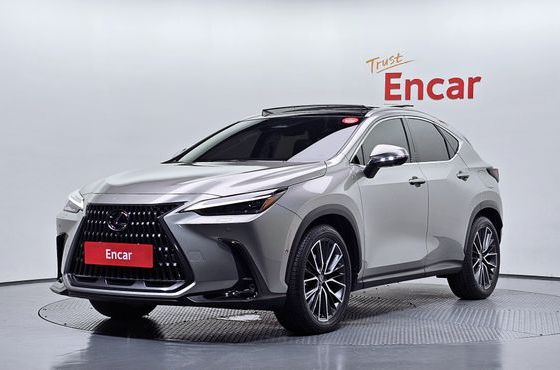 Lexus NX Luxury — пробег 7 825 км — фото 1 из 5