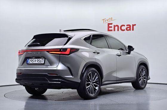 Lexus NX Luxury — пробег 7 825 км — фото 2 из 5