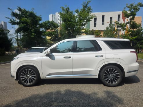 Hyundai Palisade Diesel 2.2 2WD Calligraphy — пробег 97 500 км — фото 4 из 5