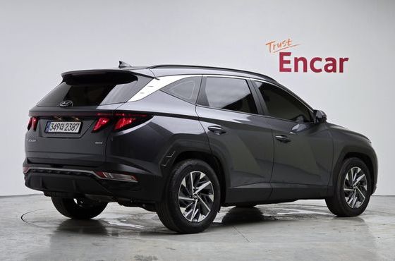 Hyundai Tucson Diesel 2.0 4WD Premium — пробег 49 060 км — фото 2 из 5