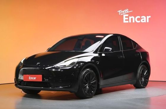 Tesla Model Y RWD — пробег 49 798 км — фото 1 из 5