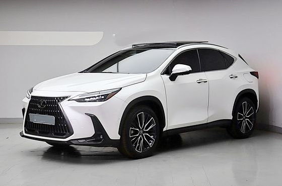 Lexus NX Luxury — пробег 18 135 км — фото 3 из 5