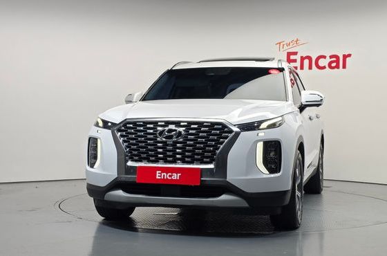 Hyundai Palisade Diesel 2.2 4WD Prestige — пробег 172 136 км — фото 3 из 5
