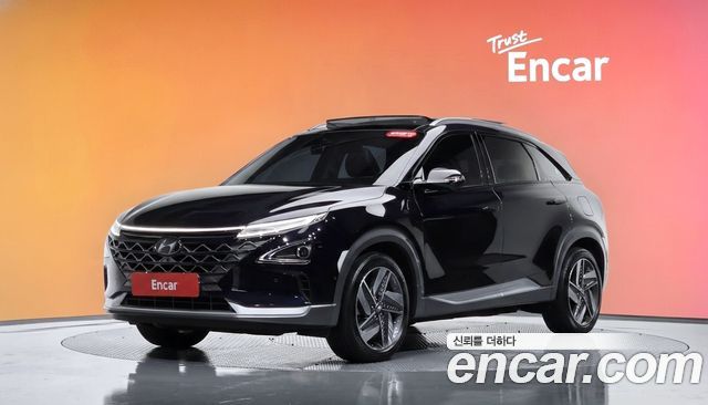 Hyundai Nexo Premium — пробег 56 956 км — фото 1 из 5