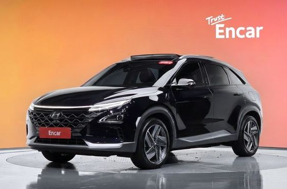 Hyundai Nexo Premium — пробег 56 956 км — фото 1 из 5