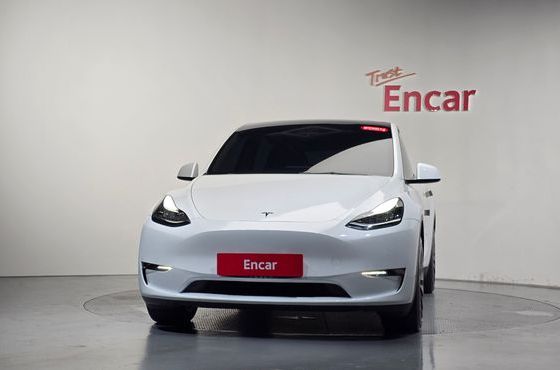 Tesla Model Y Long Range AWD — пробег 141 878 км — фото 3 из 5