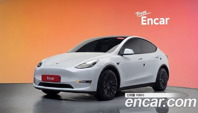 Tesla Model Y Long Range AWD — пробег 141 878 км — фото 1 из 5