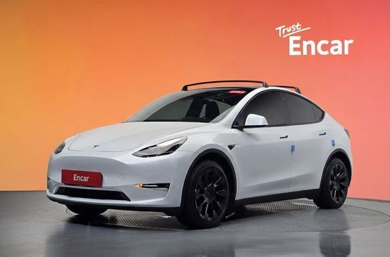 Tesla Model Y Long Range AWD — пробег 67 340 км — фото 1 из 5