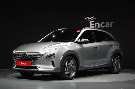 Hyundai Nexo Premium — пробег 89 556 км — фото 1 из 5
