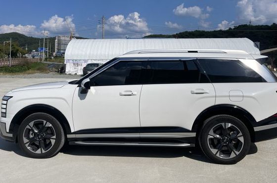 Hyundai Palisade HEV 2.5T 4WD 7-Seater Prestige — пробег 24 519 км — фото 4 из 5
