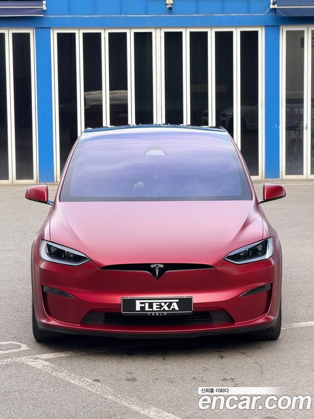 Tesla Model X Plaid — пробег 29 000 км — фото 1 из 5