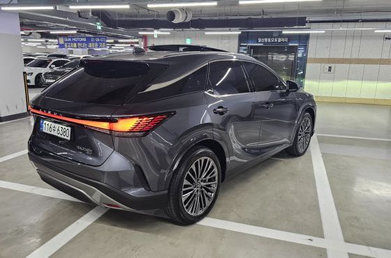 Lexus RX Luxury — пробег 20 км — фото 2 из 5