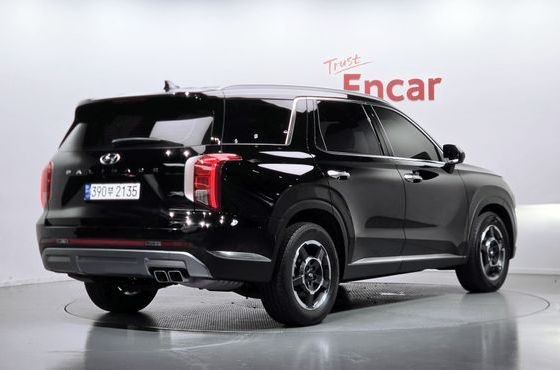 Hyundai Palisade Diesel 2.2 2WD Exclusive — пробег 122 072 км — фото 2 из 5
