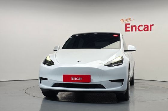 Tesla Model Y RWD — пробег 33 309 км — фото 3 из 5