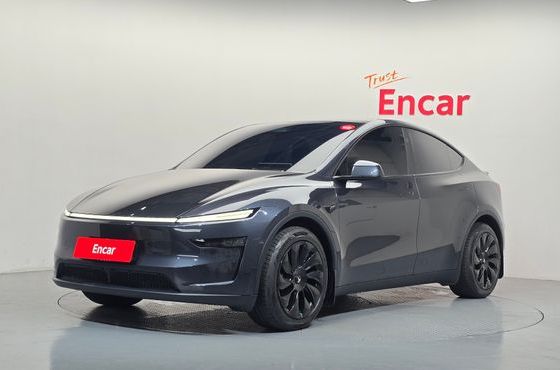 Tesla Model Y Long Range AWD — пробег 20 898 км — фото 1 из 5