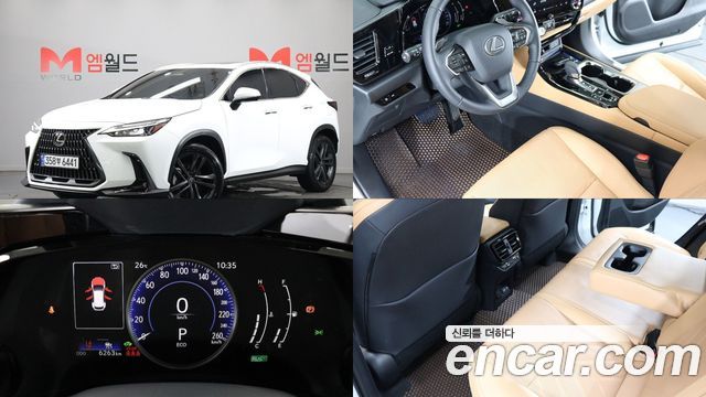 Lexus NX Premium — пробег 6 262 км — фото 1 из 5