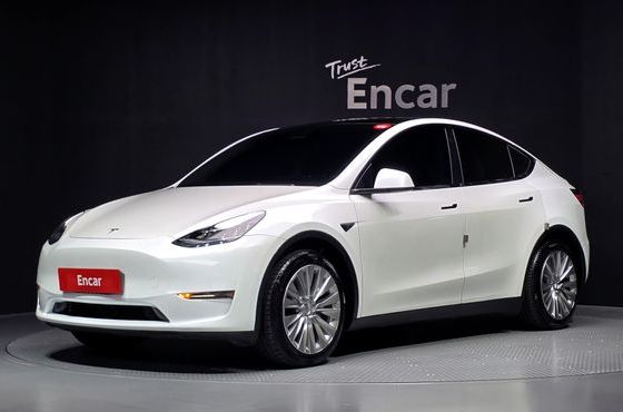 Tesla Model Y Standard Range RWD — пробег 97 402 км — фото 1 из 5
