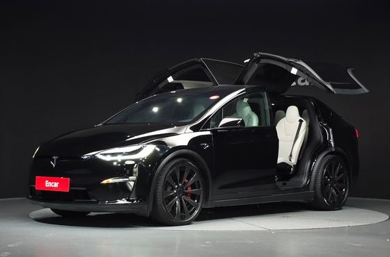 Tesla Model X Plaid — пробег 28 914 км — фото 1 из 5