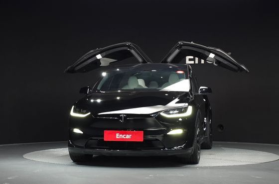 Tesla Model X Plaid — пробег 28 914 км — фото 3 из 5