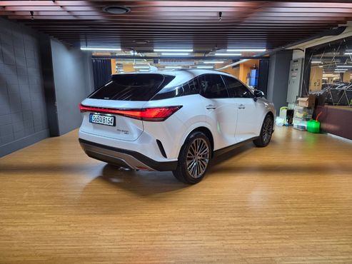 Lexus RX Luxury — пробег 4 999 км — фото 2 из 5